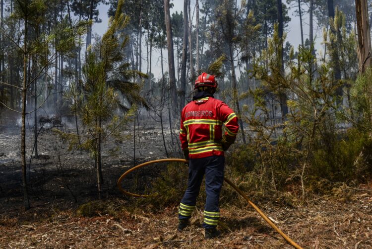 Dois fogos em Caldas da Rainha e um em Alcobaça combatidos por 225 operacionais e 8 meios aéreos