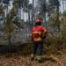 Dois fogos em Caldas da Rainha e um em Alcobaça combatidos por 225 operacionais e 8 meios aéreos