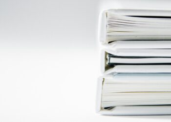 Meirinhas avança com Livro Branco para a defesa de plantações de pinheiro e eucalipto e da floresta contra incêndios