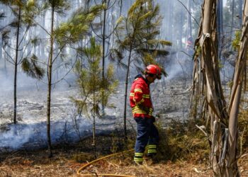 Secretário de Estado da Conservação das Florestas em Pombal para reunir com autarcas cujos municípios arderam