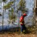 Secretário de Estado da Conservação das Florestas em Pombal para reunir com autarcas cujos municípios arderam