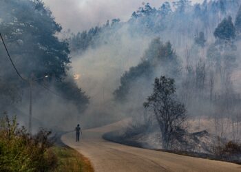 Incêndios em Ourém em fase de resolução