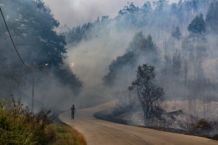 Incêndios em Ourém em fase de resolução