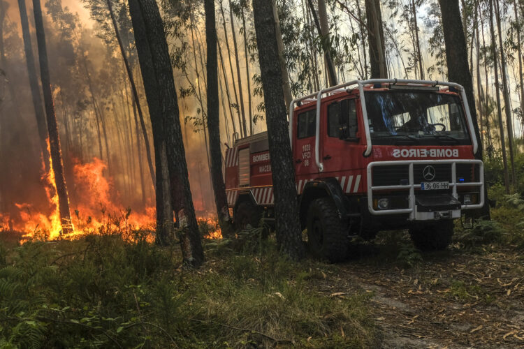 Bombeiros combatem dois incêndios na freguesia da Caranguejeira, Leiria