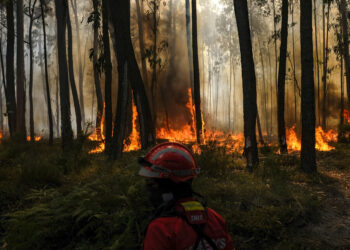 Bombeiro morre durante combate a incêndio nas Caldas da Rainha