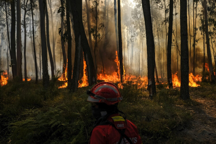 Bombeiro morre durante combate a incêndio nas Caldas da Rainha