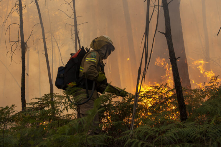 Incêndio nas Caldas da Rainha dado como dominado às 4:25 horas