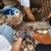 Queres ajudar a manter as Caldas limpas? Participa na #CaçaàBeata