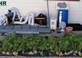 GNR detém suspeito de tráfico de droga no Bombarral