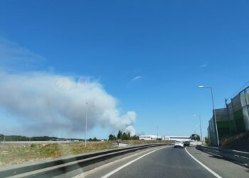 Incêndio em Amor já mobiliza seis meios aéreos e mais de 100 operacionais
