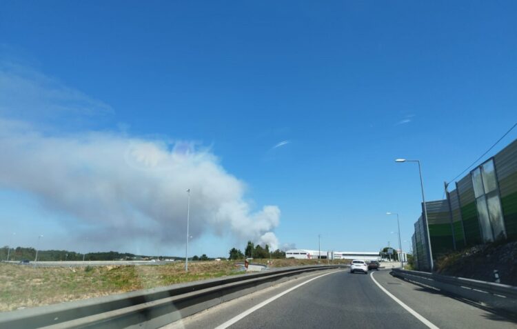 Incêndio em Amor já mobiliza seis meios aéreos e mais de 100 operacionais