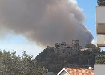 Incêndio em Amor e Barosa em fase de resolução