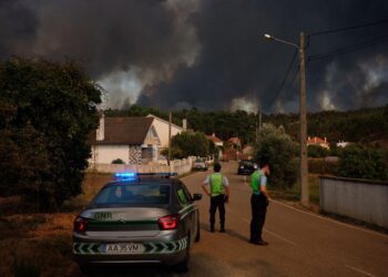 Incêndios: Restabelecida circulação de comboios na linha do Norte