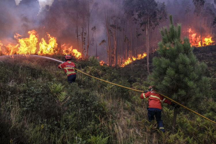 Região em risco elevado a extremo de incêndio rural, Portugal em alerta