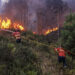 Região em risco elevado a extremo de incêndio rural, Portugal em alerta