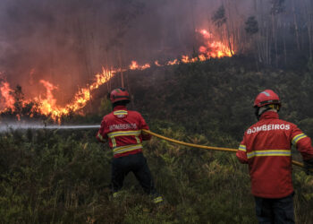 Fogo de Ourém reactivou-se ao início da tarde