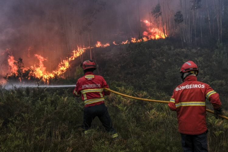 Fogo de Ourém reactivou-se ao início da tarde