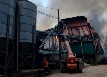 Aviário destruído pelas chamas em Ourém
