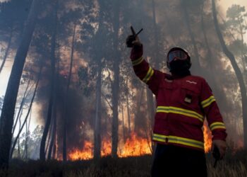 Alvaiázere reclama estado de calamidade para o seu concelho