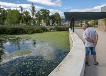 Eutrofização pinta de verde lago do Jardim da Almuinha