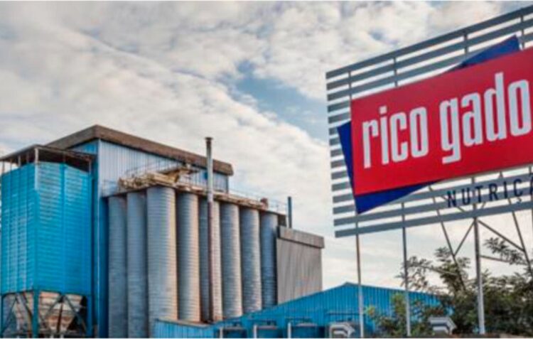 JSilva vendeu negócio dos alimentos compostos para animais a empresa de grupo holandês