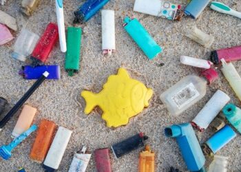 No próximo domingo há limpeza de praia em Paredes da Vitória