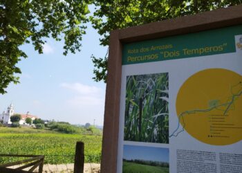 Louriçal cria parques urbanos e novos percursos pedestres