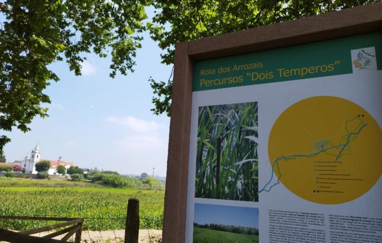 Louriçal cria parques urbanos e novos percursos pedestres