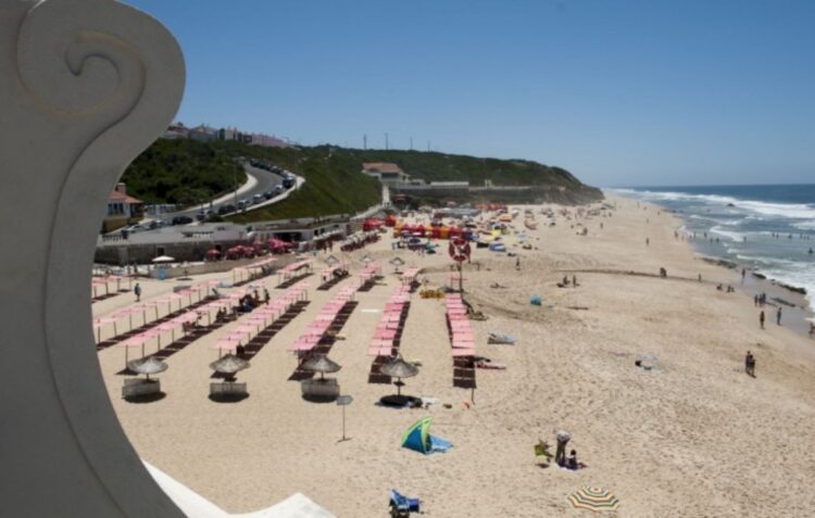 Limpeza de praias na Marinha Grande assinala Centenário da Circum-Navegação