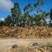 Meirinhas vai criar espaço para receber sobrantes florestais e agrícolas