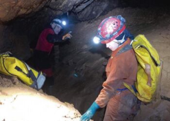 Bióloga de Caldas da Rainha estuda bactérias em risco em grutas na Noruega