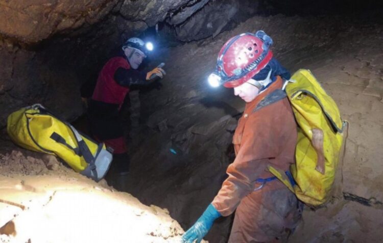 Bióloga de Caldas da Rainha estuda bactérias em risco em grutas na Noruega