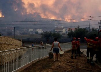 Incêndios: Linha do Norte sem previsão de reabertura “face a agravamento”