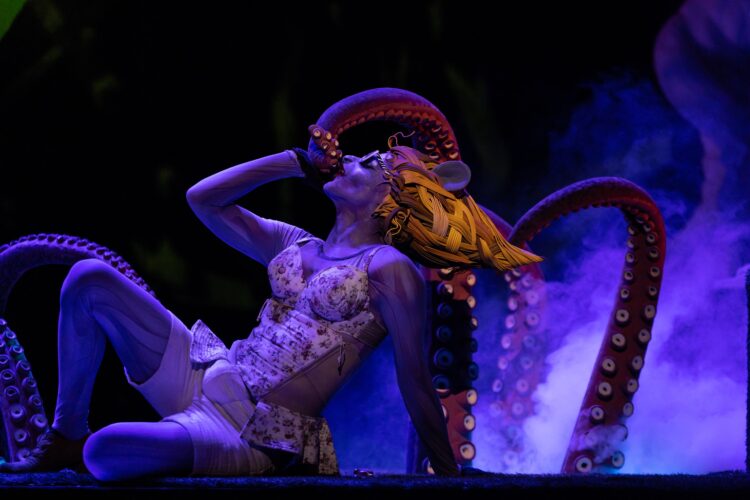 Hamster Clown abre amanhã o festival de teatro Acaso em Leiria