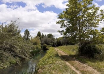 Ciclovia entre Leiria e Marinha Grande fica à espera de dinheiro da Europa para ser construída
