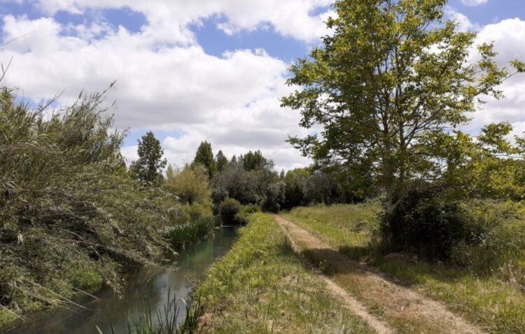 Ciclovia entre Leiria e Marinha Grande fica à espera de dinheiro da Europa para ser construída