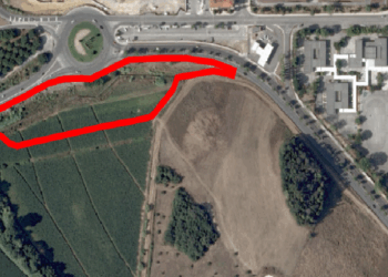 Estacionamento junto à rotunda D. Dinis terá área verde com 132 árvores