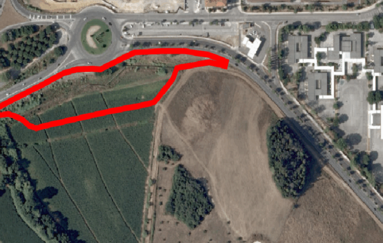 Estacionamento junto à rotunda D. Dinis terá área verde com 132 árvores