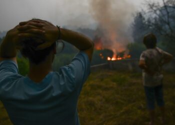 Fogos provocaram um milhão em prejuízos em Ansião em floresta, plantações de eucalipto e pinheiro e agricultura