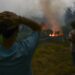 Fogos provocaram um milhão em prejuízos em Ansião em floresta, plantações de eucalipto e pinheiro e agricultura