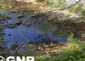 GNR detecta descarga ilegal de efluentes domésticos em Porto de Mós