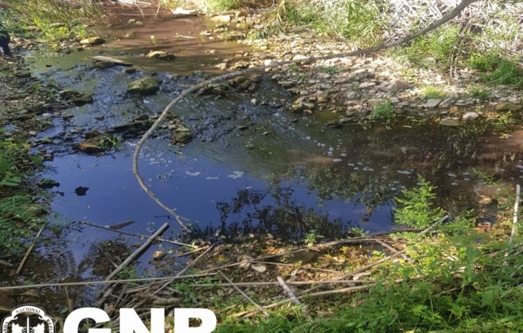 GNR detecta descarga ilegal de efluentes domésticos em Porto de Mós