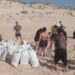 Acção de limpeza na praia do Vale Furado a 18 de Setembro