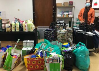 Loja Social apoiou cerca de 400 famílias