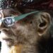 Marshall Allen, músico de 98 anos, não vai estar com a Sun Ra Arkestra, este domingo, em Leiria