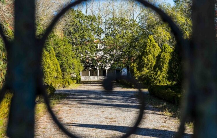 Governo garante espaço e apoia financiamento do Museu da Floresta