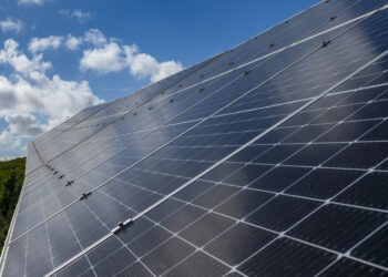 Empresas investem em painéis solares para reduzir factura de electricidade