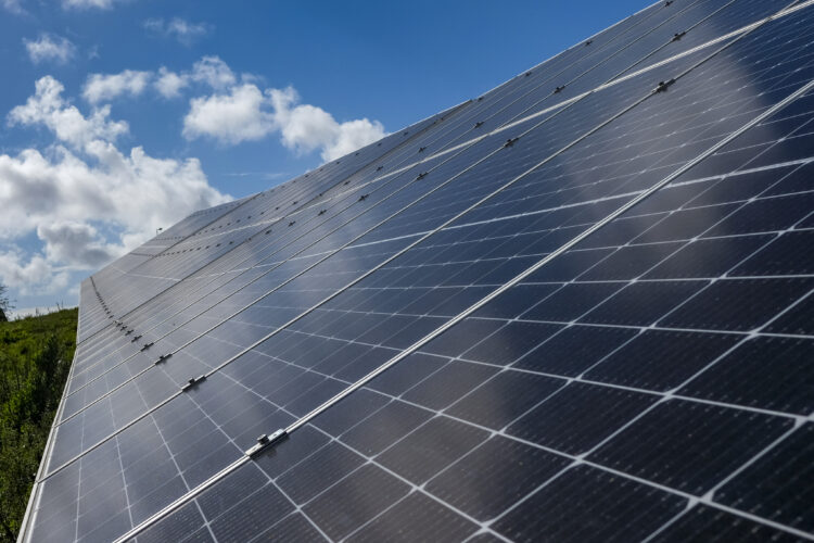 Empresas investem em painéis solares para reduzir factura de electricidade