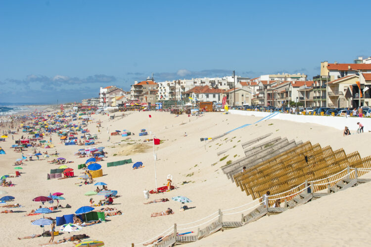 Hoje há acção de limpeza na Praia do Pedrógão