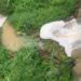Chuvas trouxeram nova descarga na Ribeira dos Milagres